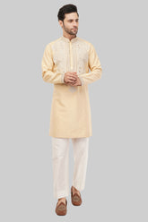 Stylish Men's Embroidered Kurta